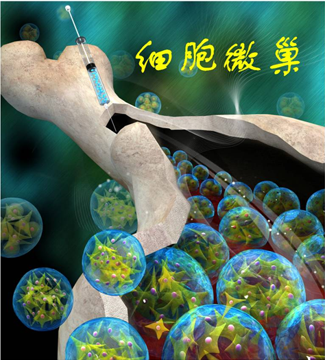 西安交大与哈佛大学科研人员联合开发出细胞