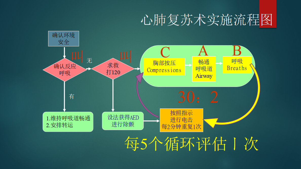 CPR流程图图片